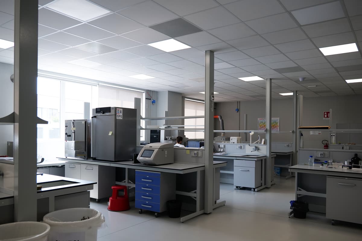 Inlab Image 03